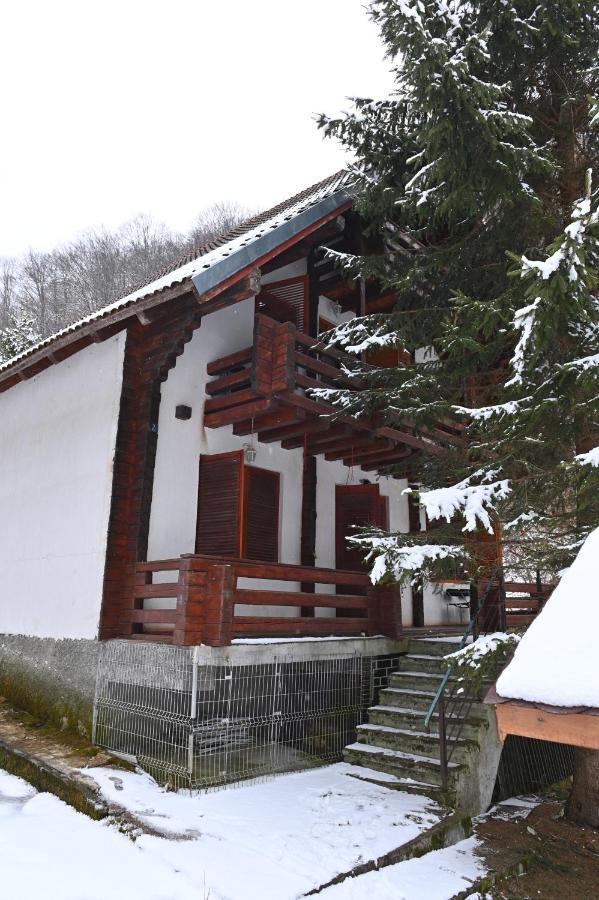 Casa De Vacanta Satic Piatra Craiului La Doi Viermi Exterior foto
