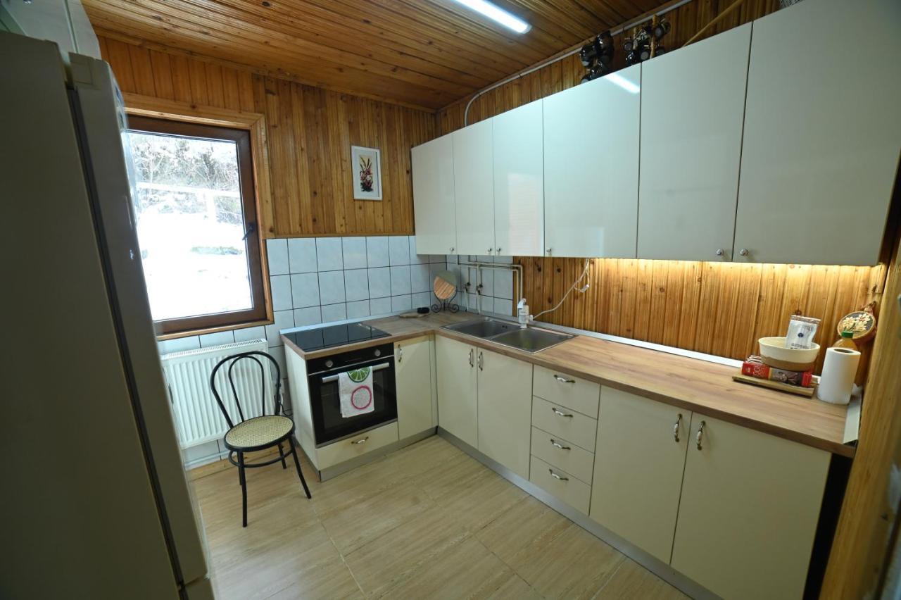 Casa De Vacanta Satic Piatra Craiului La Doi Viermi Exterior foto