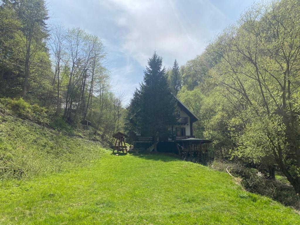 Casa De Vacanta Satic Piatra Craiului La Doi Viermi Exterior foto