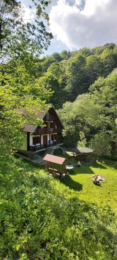Casa De Vacanta Satic Piatra Craiului La Doi Viermi Exterior foto