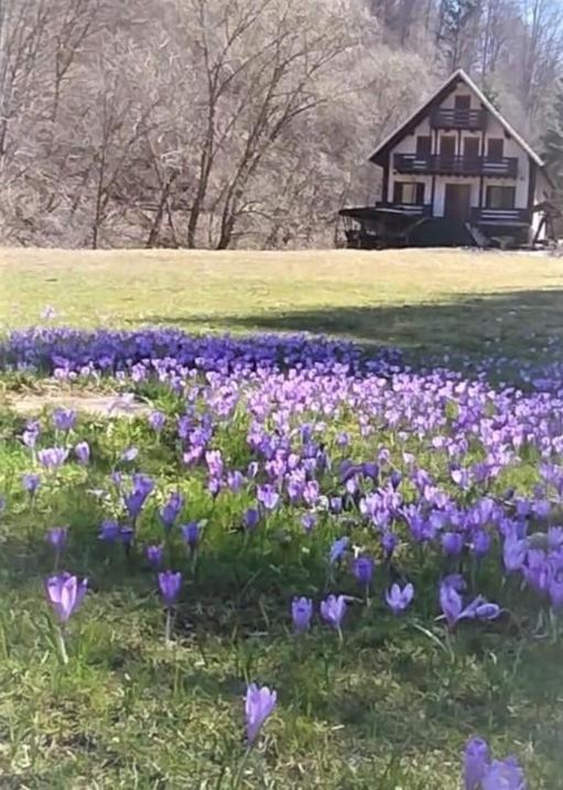 Casa De Vacanta Satic Piatra Craiului La Doi Viermi Exterior foto